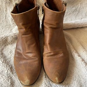 Steve Madden ankle booties